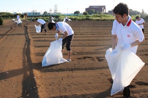 綾瀬花火大会 ﾎﾞﾗﾝﾃｨｱ清掃4.jpg